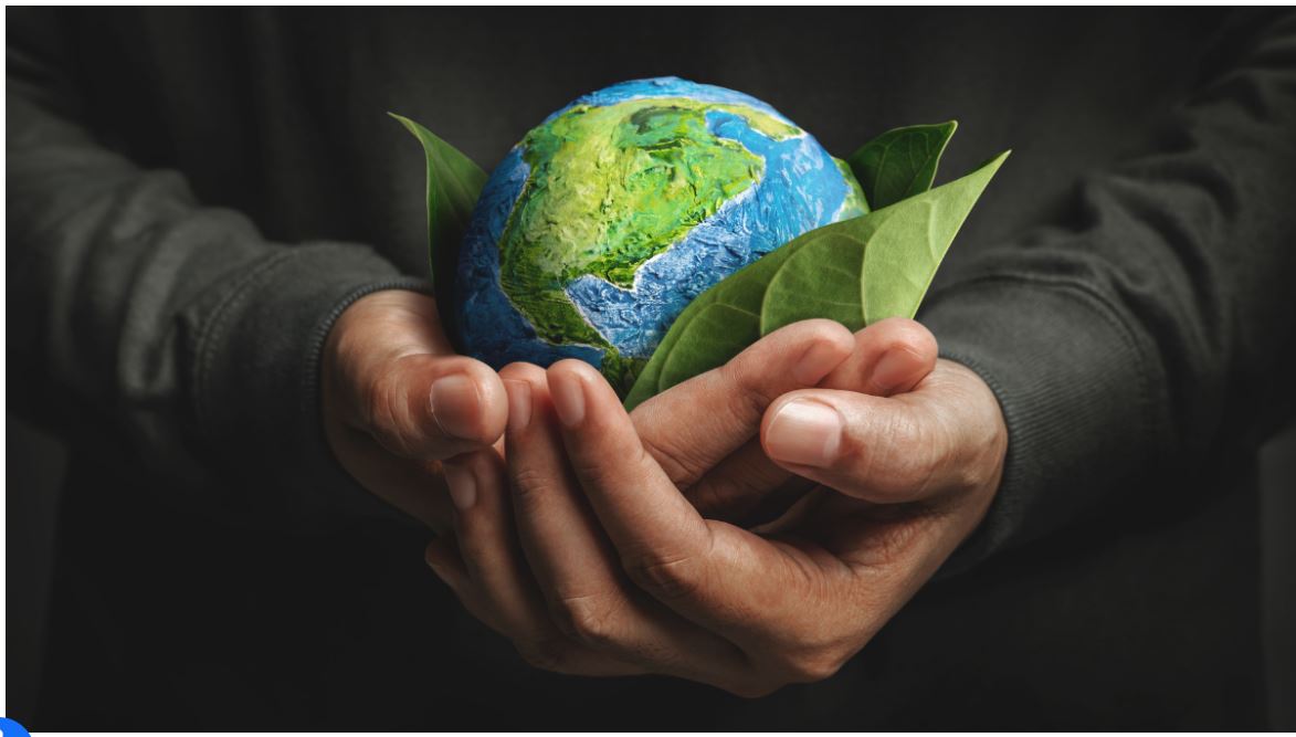 Hands holding a small globe wrapped in green leaves, representing sustainability